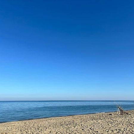 Appartement Bord De Mer Le Barcarès エクステリア 写真